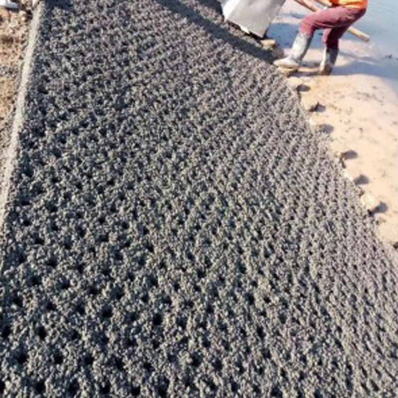 Summer beach concept