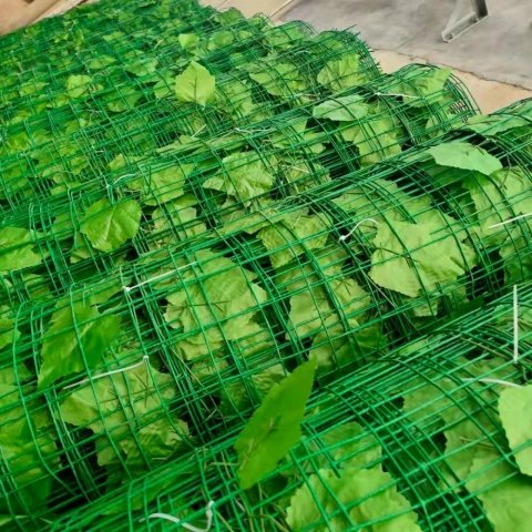 Summer beach concept