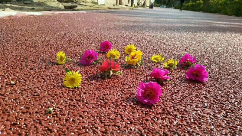 Summer beach concept