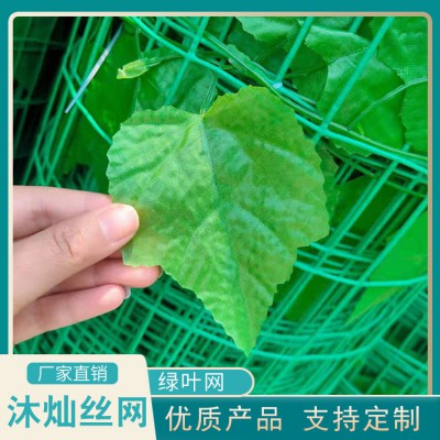 绿叶网 山体覆盖绿叶网