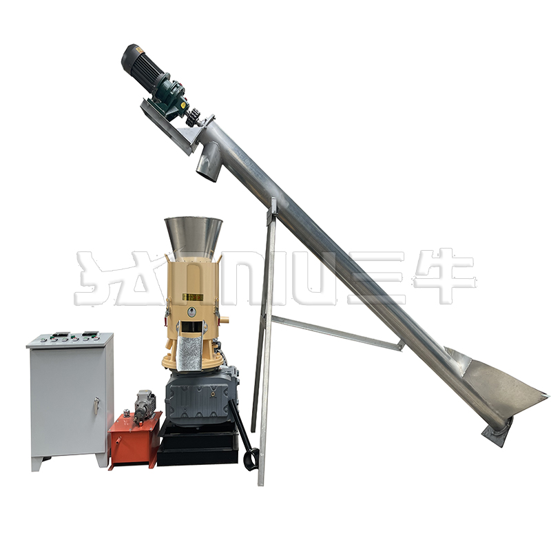 Summer beach concept