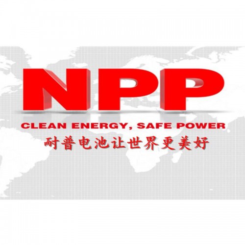 耐普蓄电池   耐普12V蓄电池