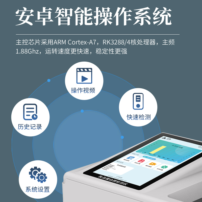 Summer beach concept