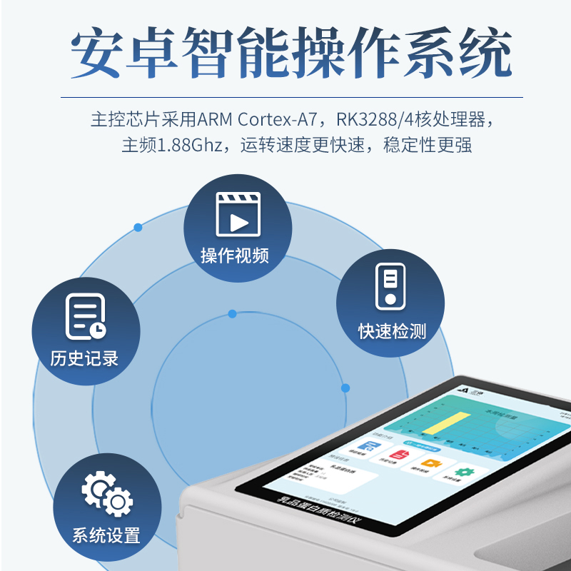 Summer beach concept