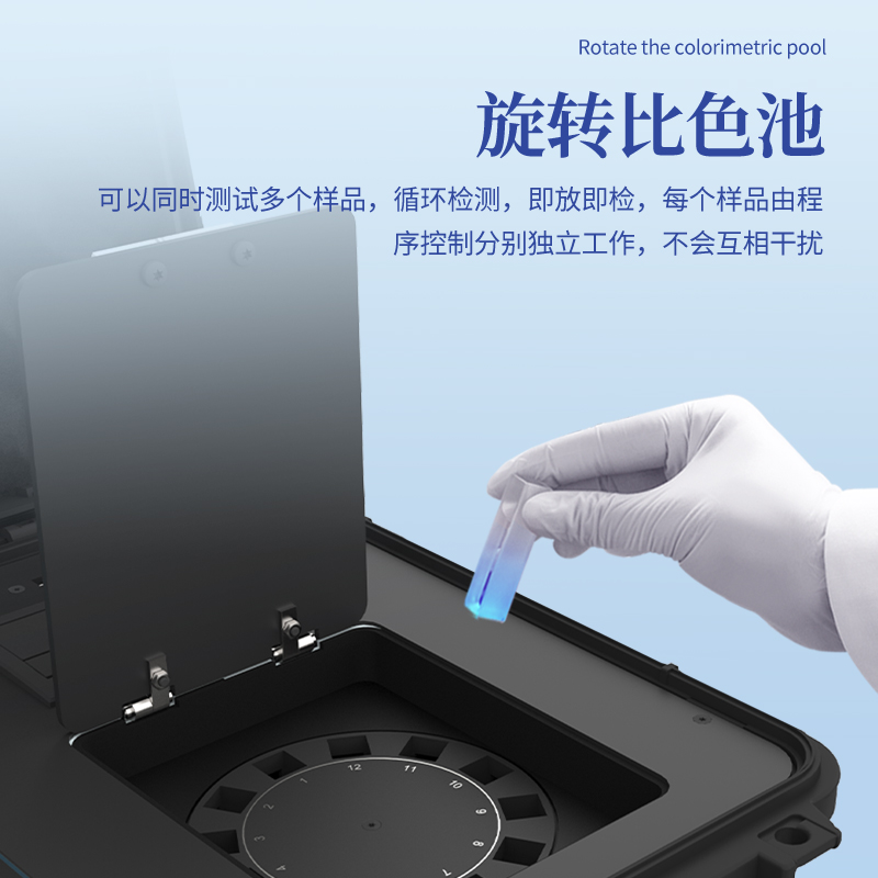 Summer beach concept