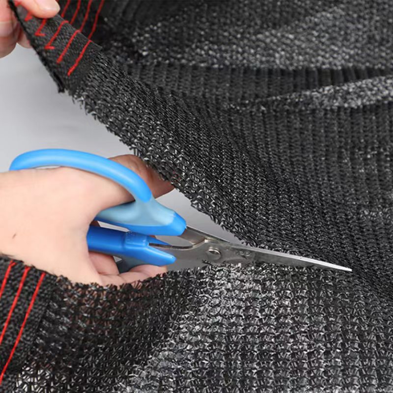 Summer beach concept