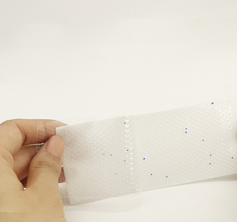 Summer beach concept