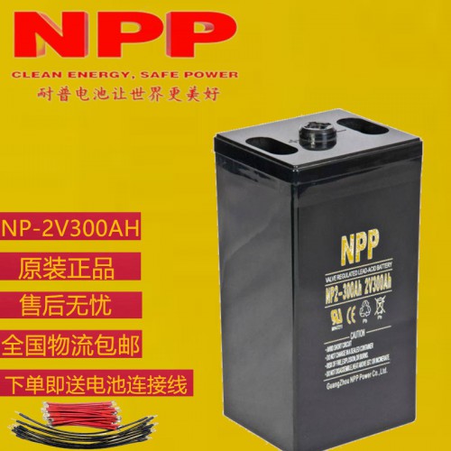 耐普电池厂家   耐普电池