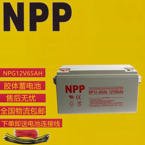 耐普12V65AH蓄电池 耐普电池厂家
