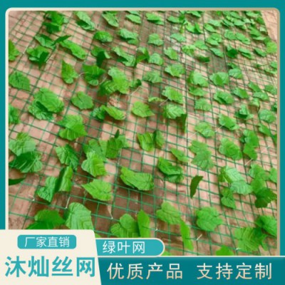 树叶网 仿真树叶网