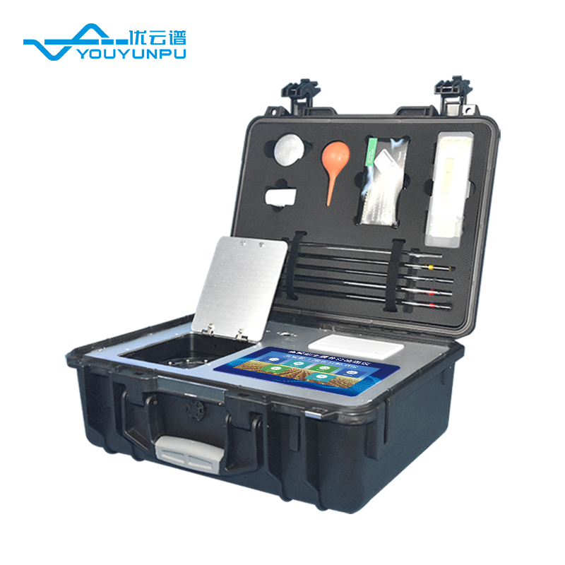 Summer beach concept