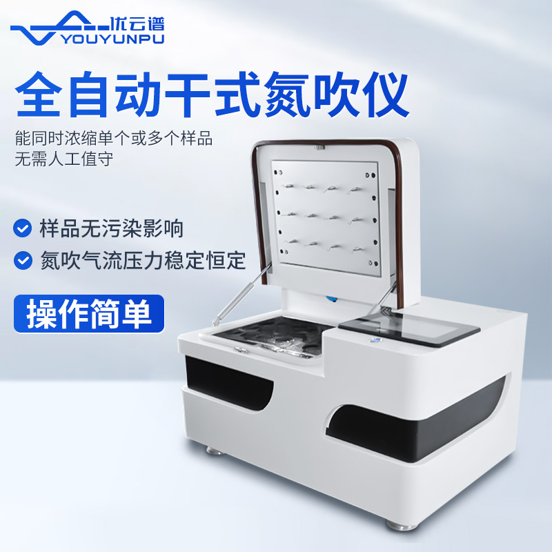 Summer beach concept