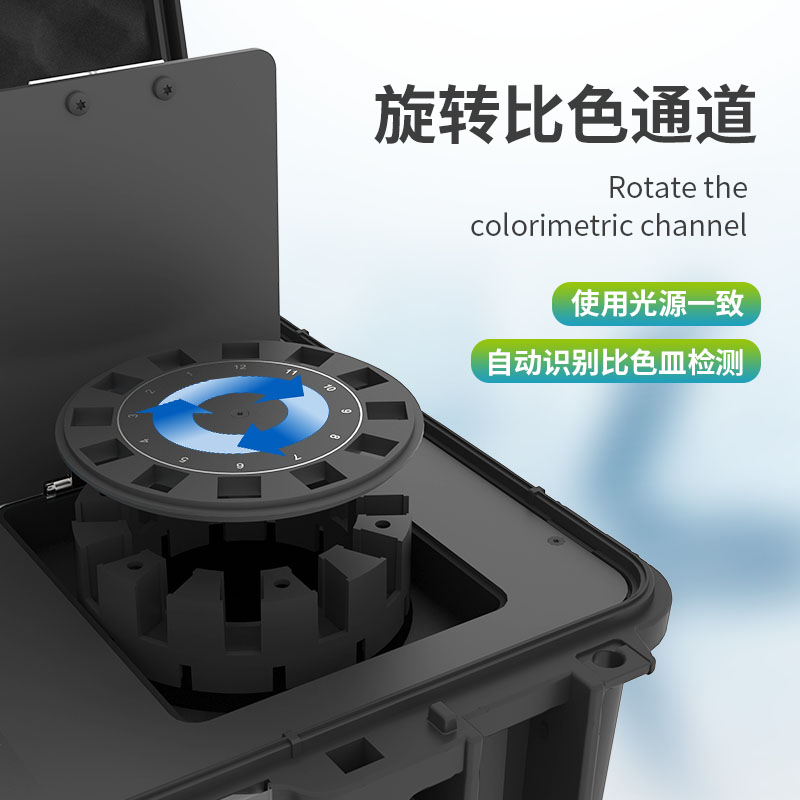 Summer beach concept