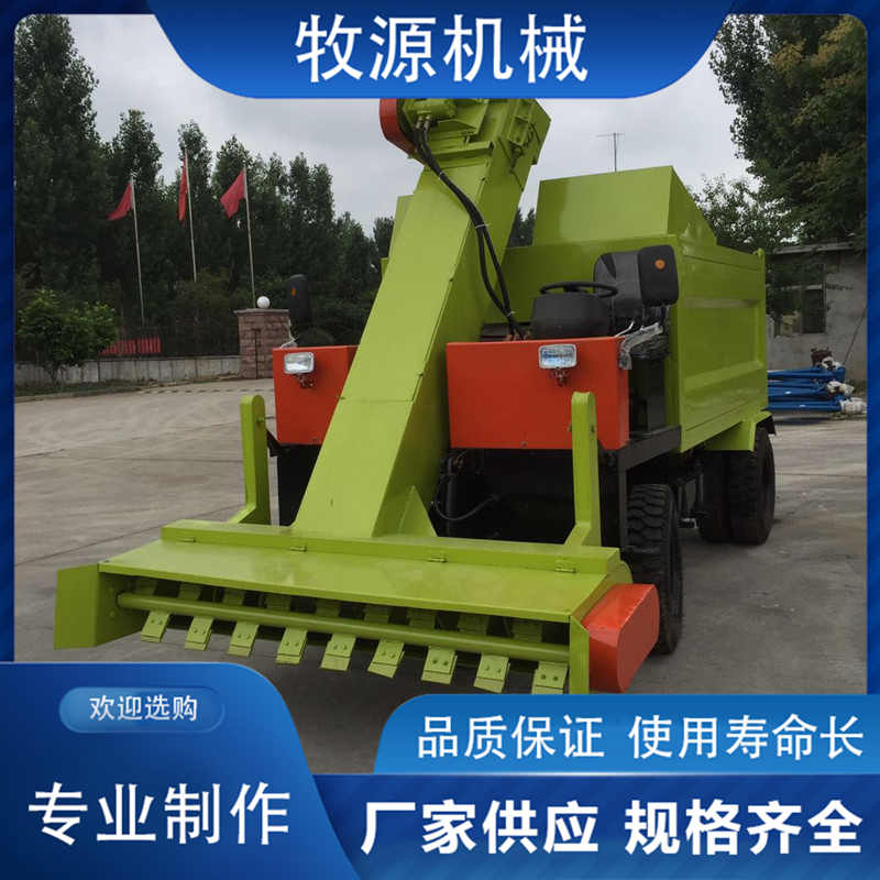 Summer beach concept