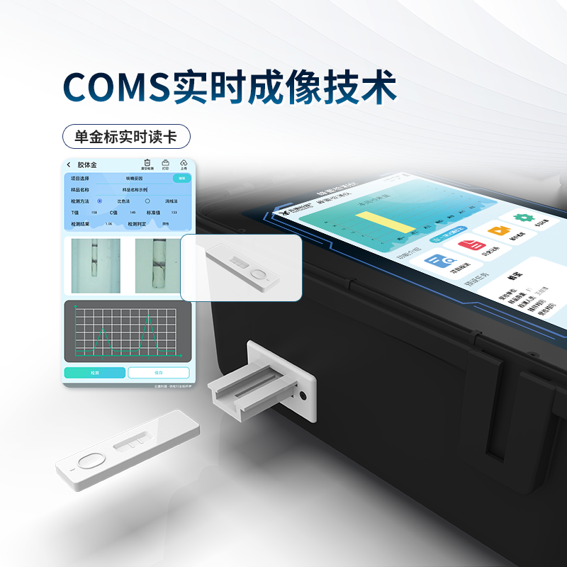 Summer beach concept