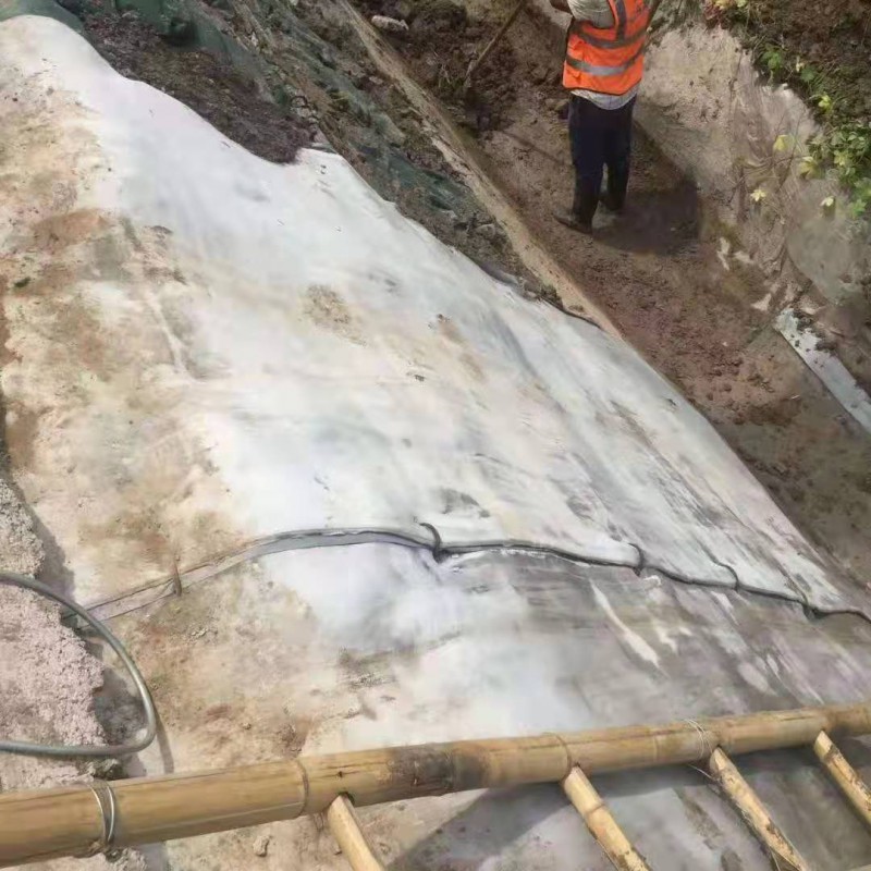 Summer beach concept