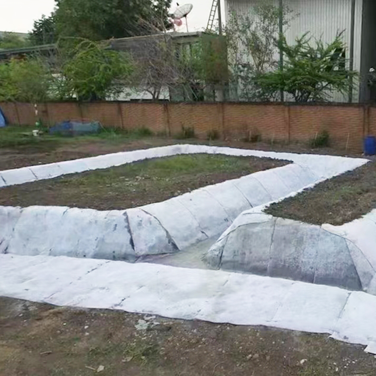 Summer beach concept