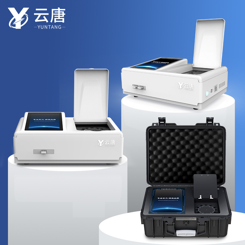 Summer beach concept