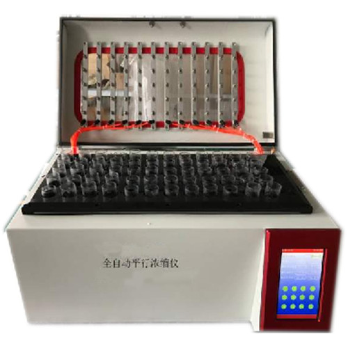 Summer beach concept