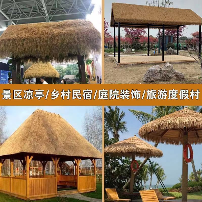 Summer beach concept