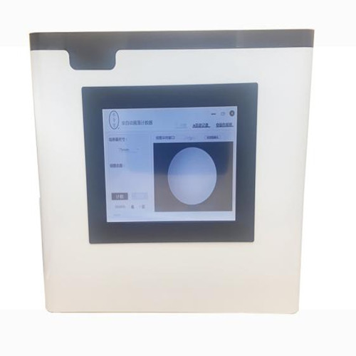 Summer beach concept