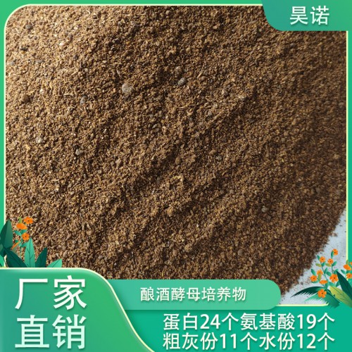 酿酒酵母培养物