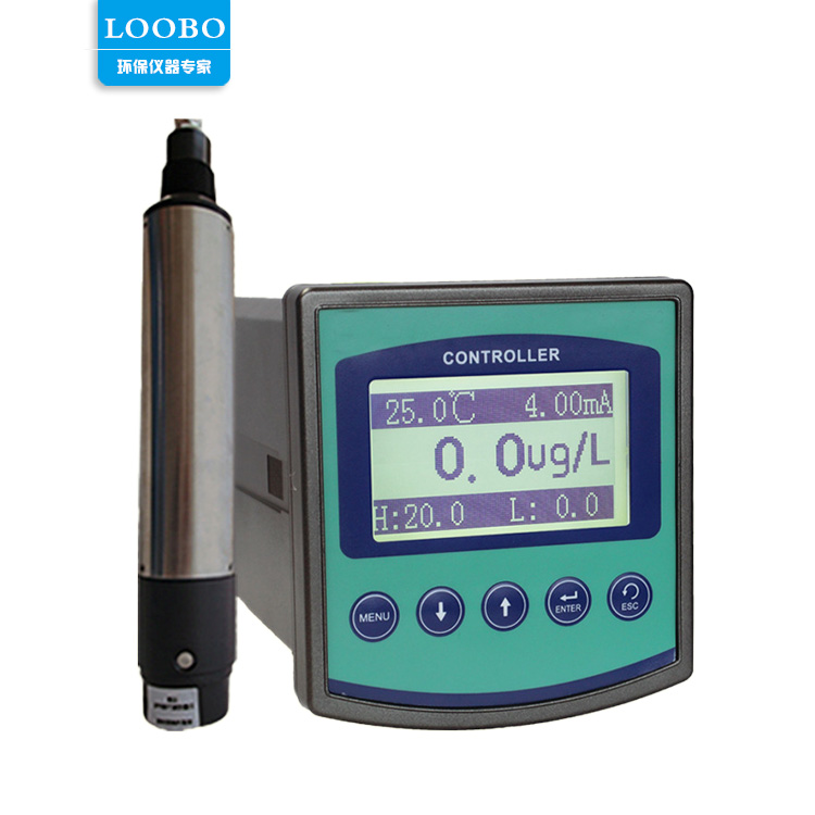 Summer beach concept