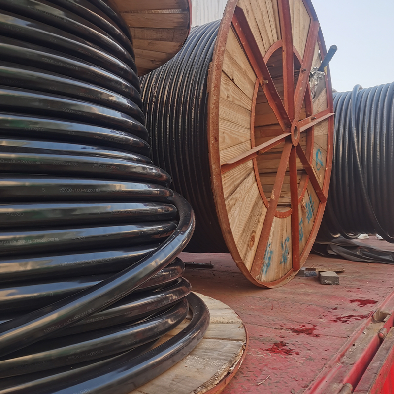 Summer beach concept