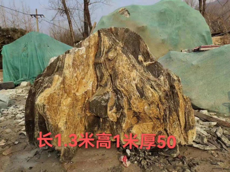 微信图片_20230728145427