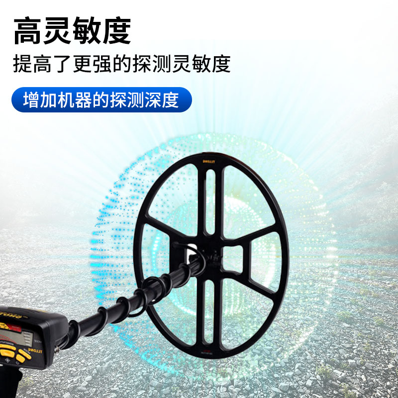 Summer beach concept