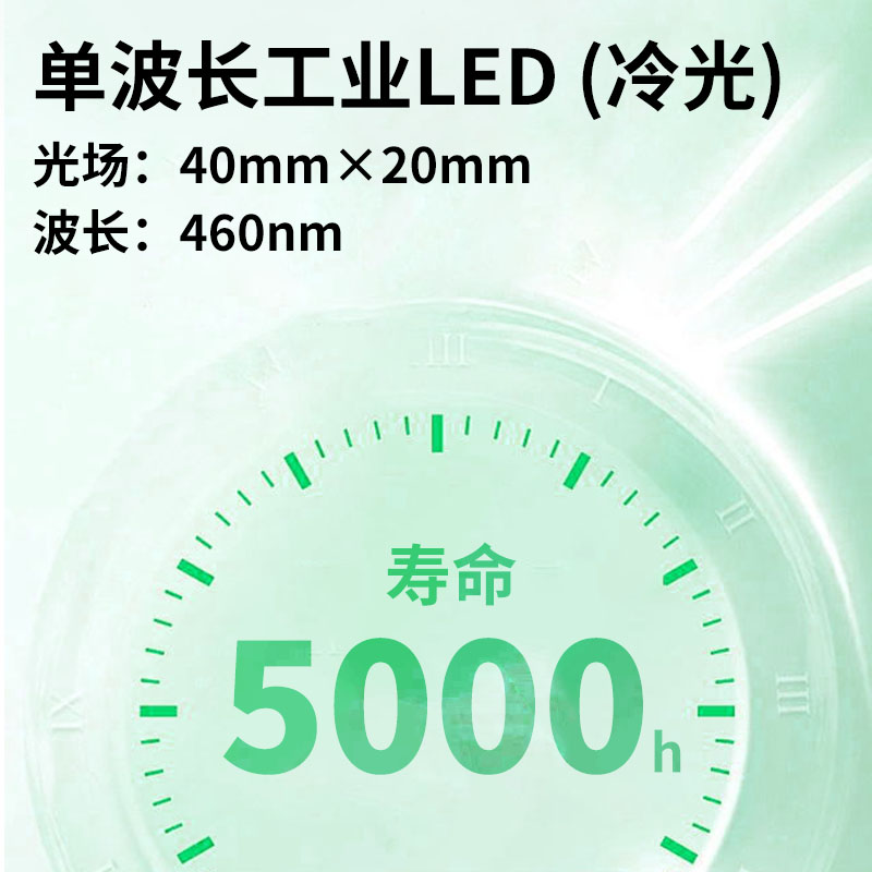 Summer beach concept