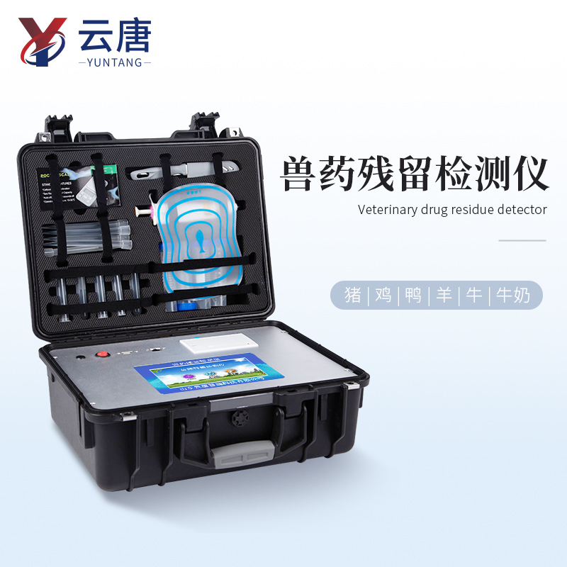 Summer beach concept