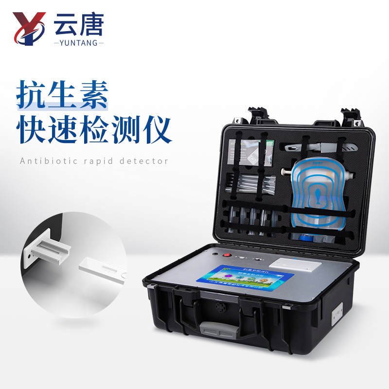 Summer beach concept