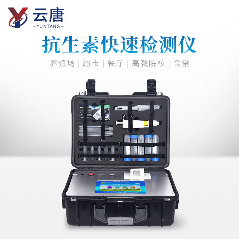 Summer beach concept