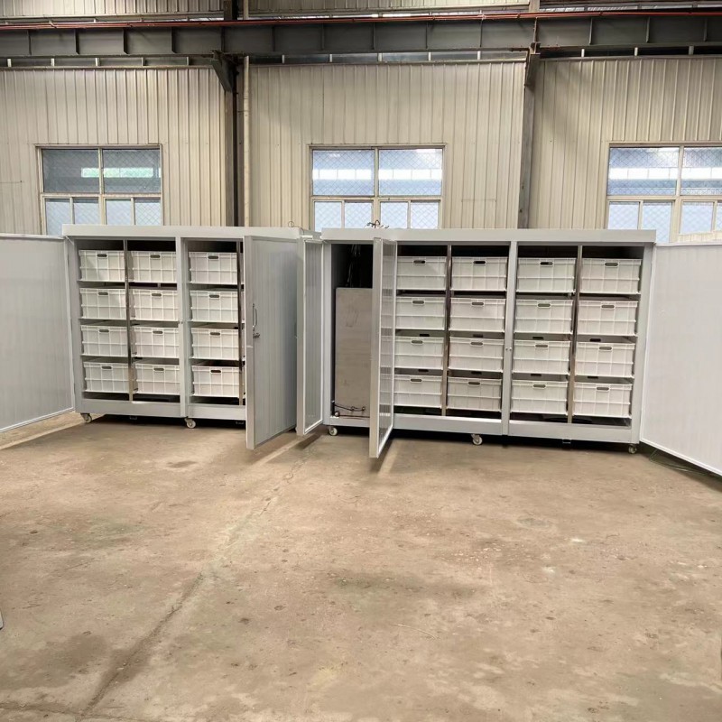 Summer beach concept