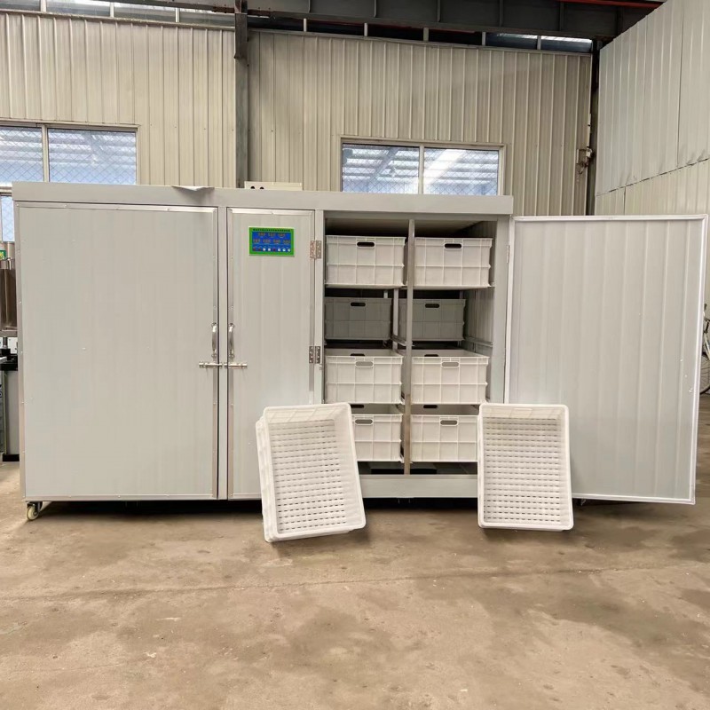 Summer beach concept