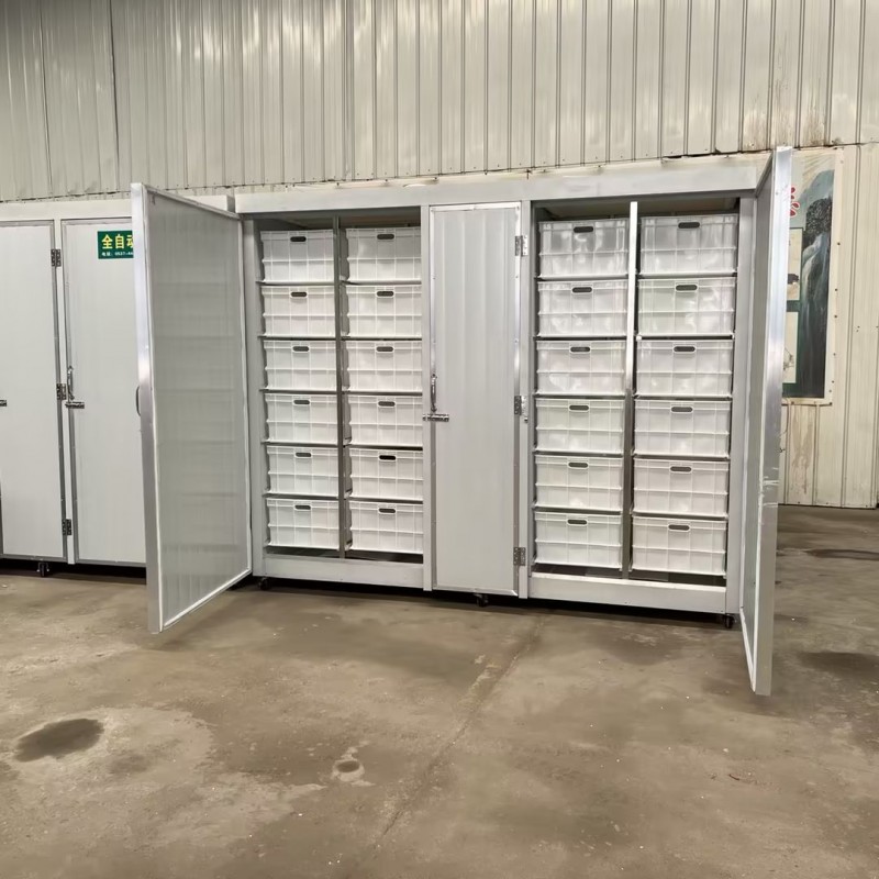 Summer beach concept