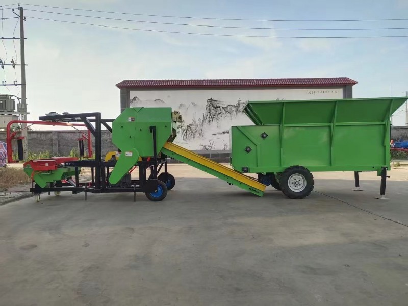 Summer beach concept