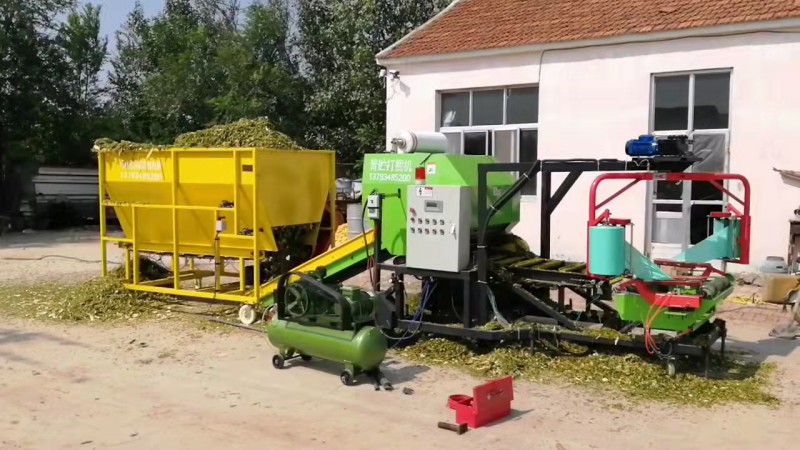 Summer beach concept