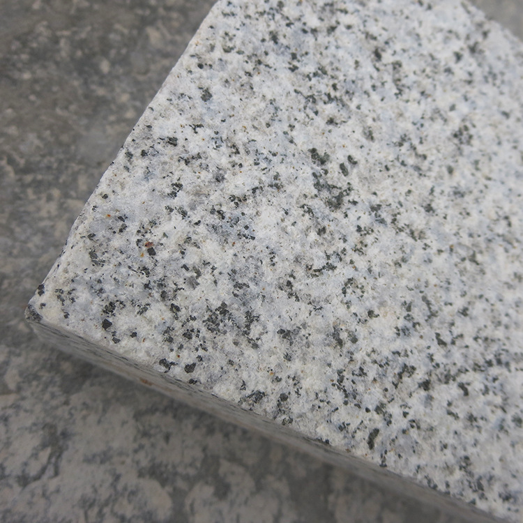 Summer beach concept