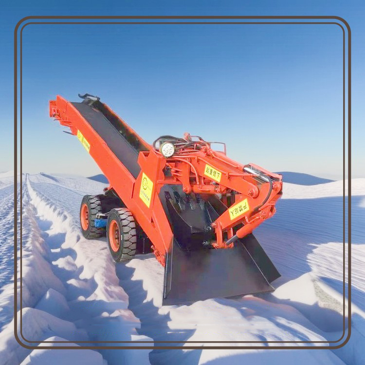 Summer beach concept