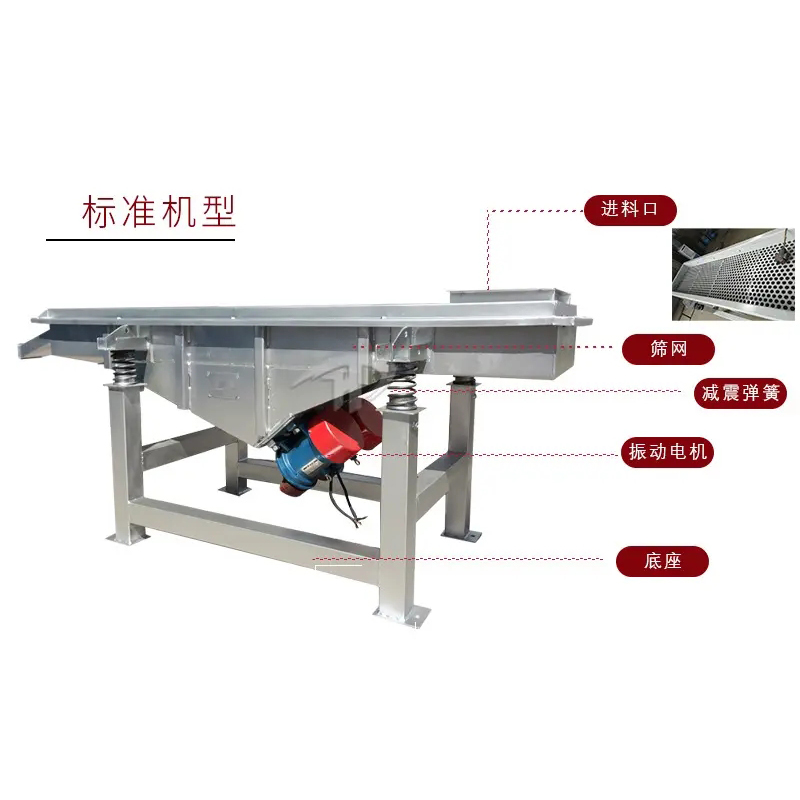 Summer beach concept