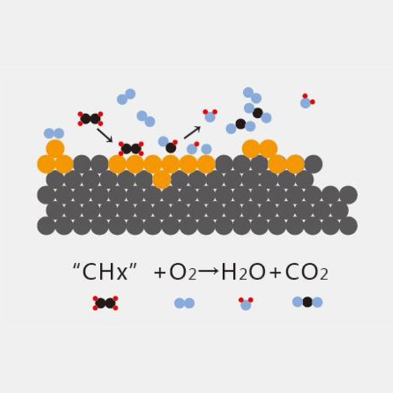 Summer beach concept