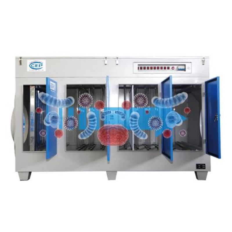 Summer beach concept