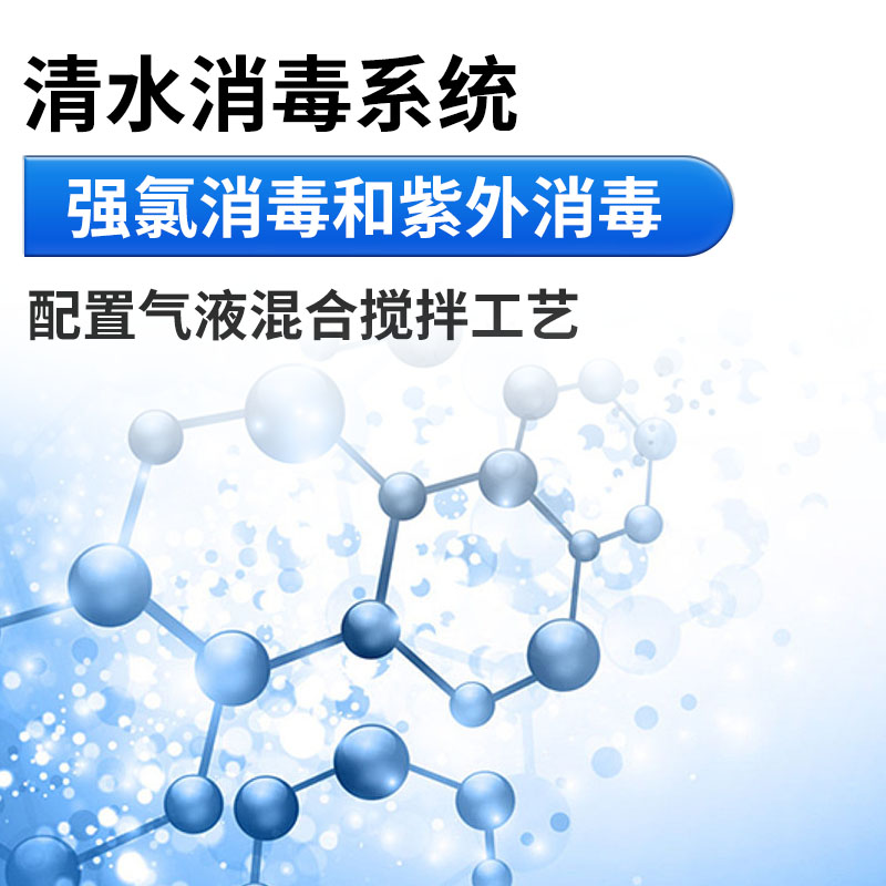 Summer beach concept