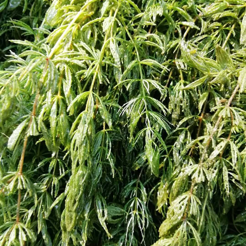 Summer beach concept