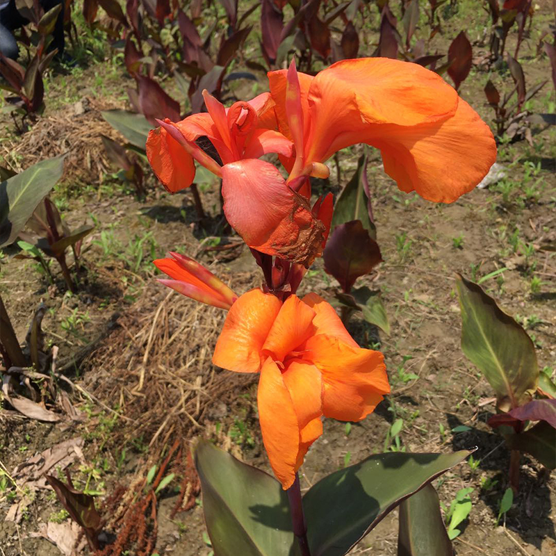 Summer beach concept