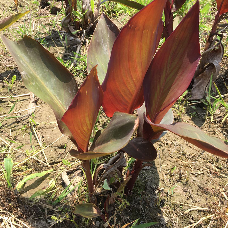 Summer beach concept
