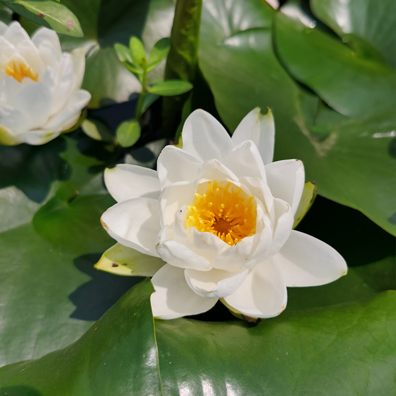 Summer beach concept