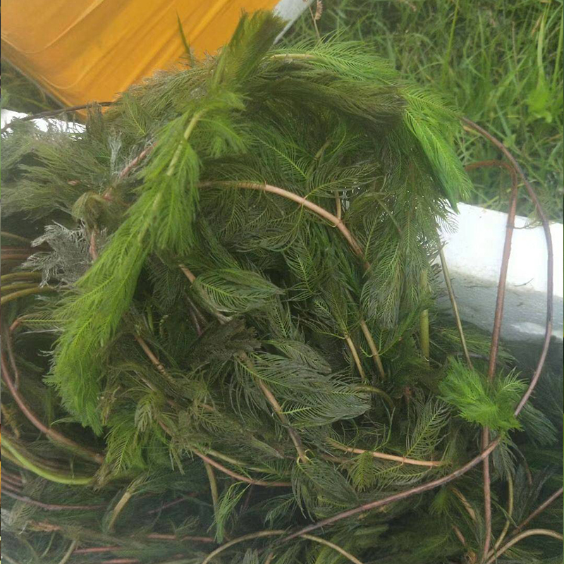 Summer beach concept